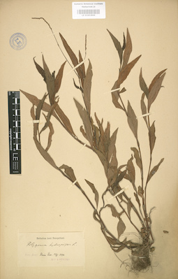 LE 01003846
