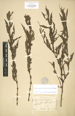 LE 01003847