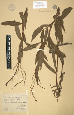 LE 01003850