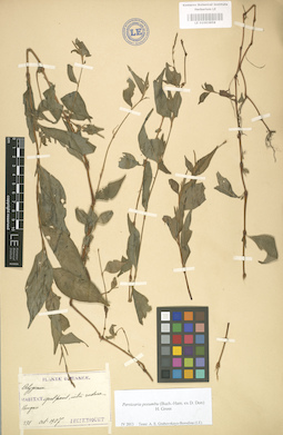 LE 01003858