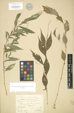 LE 01003860