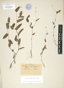 LE 01003869