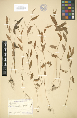 LE 01003872