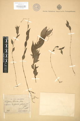LE 01003880