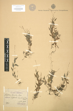 LE 01003882