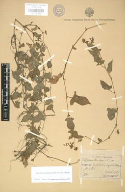 LE 01003894