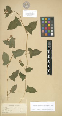 LE 01003895