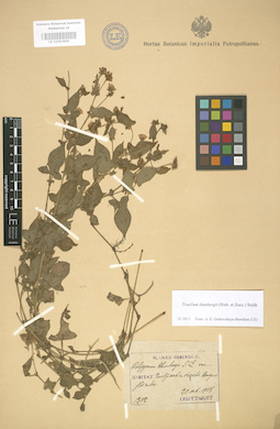 LE 01003899