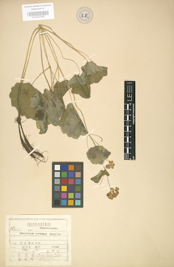 LE 01003909