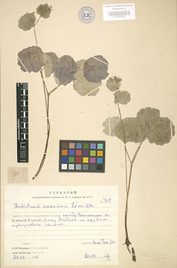 LE 01003911