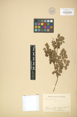 LE 01003912