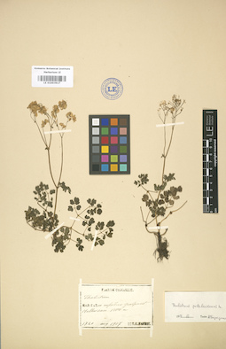 LE 01003917