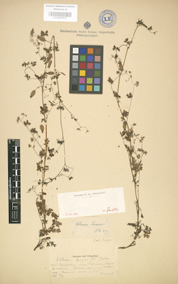 LE 01003927