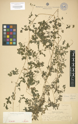 LE 01003928