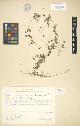 LE 01003930