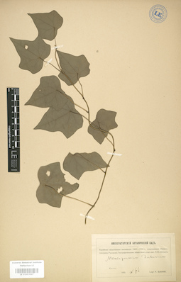 LE 01003947