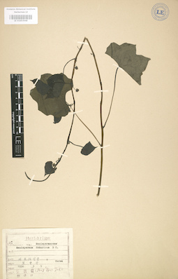 LE 01003948