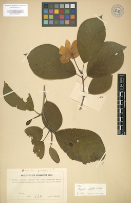 LE 01003970