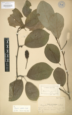 LE 01003972