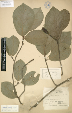 LE 01003973