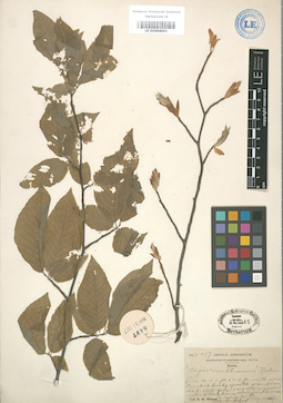 LE 01004001
