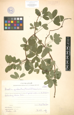 LE 01004005