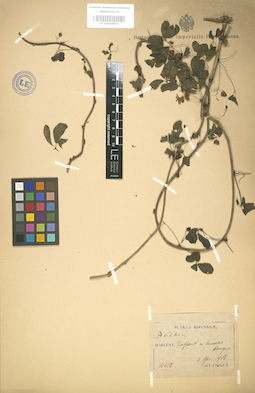 LE 01004006