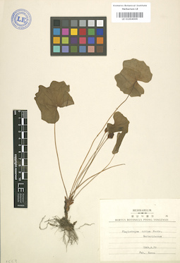 LE 01004009