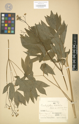 LE 01004020