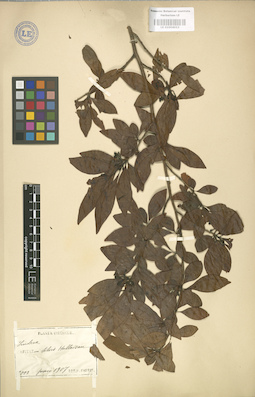 LE 01004023