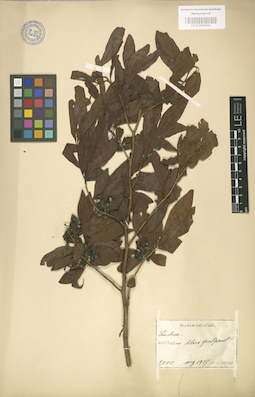 LE 01004024