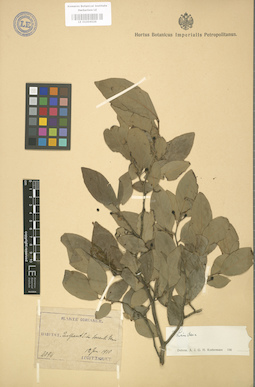 LE 01004026