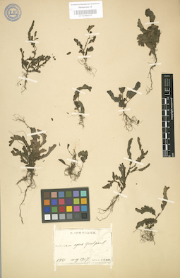 LE 01004027