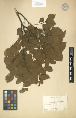 LE 01004028