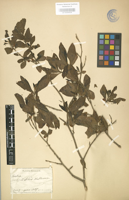 LE 01004029