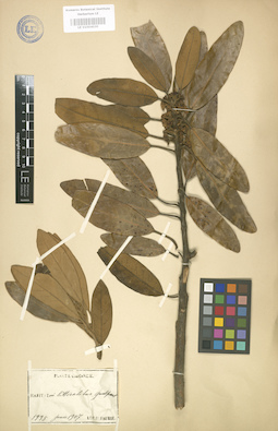 LE 01004030