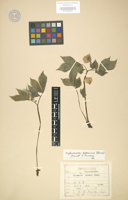 LE 01004032