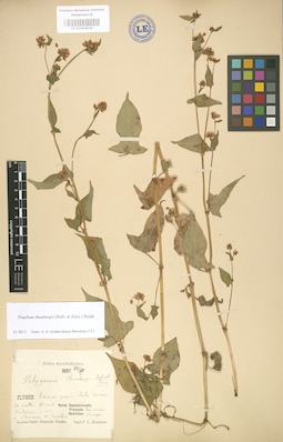 LE 01004034