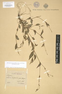 LE 01004039
