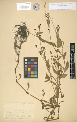 LE 01004041