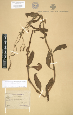 LE 01004042