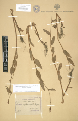 LE 01004043