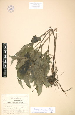 LE 01004102