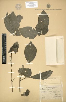 LE 01004107