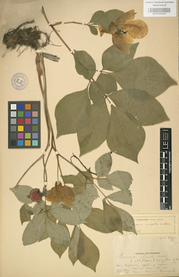 LE 01004110