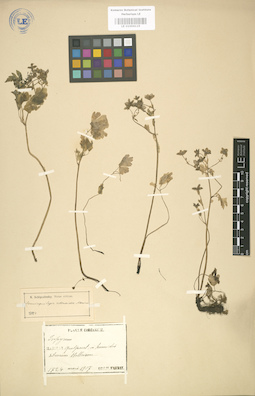 LE 01004119