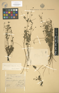 LE 01004120
