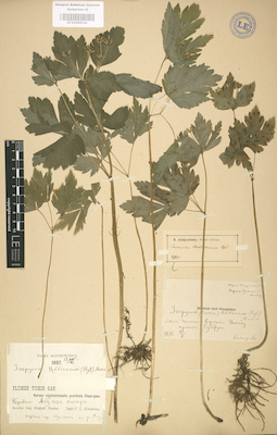 LE 01004121