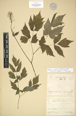 LE 01004123