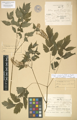 LE 01004124